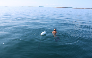 6897a31360eb6_IMG9777.JPG