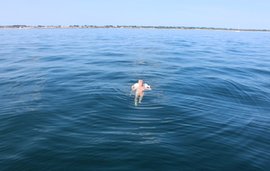 6897a34d86649_IMG9803.JPG