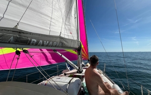 Sortie voile sur les côtes sud de Bretagne